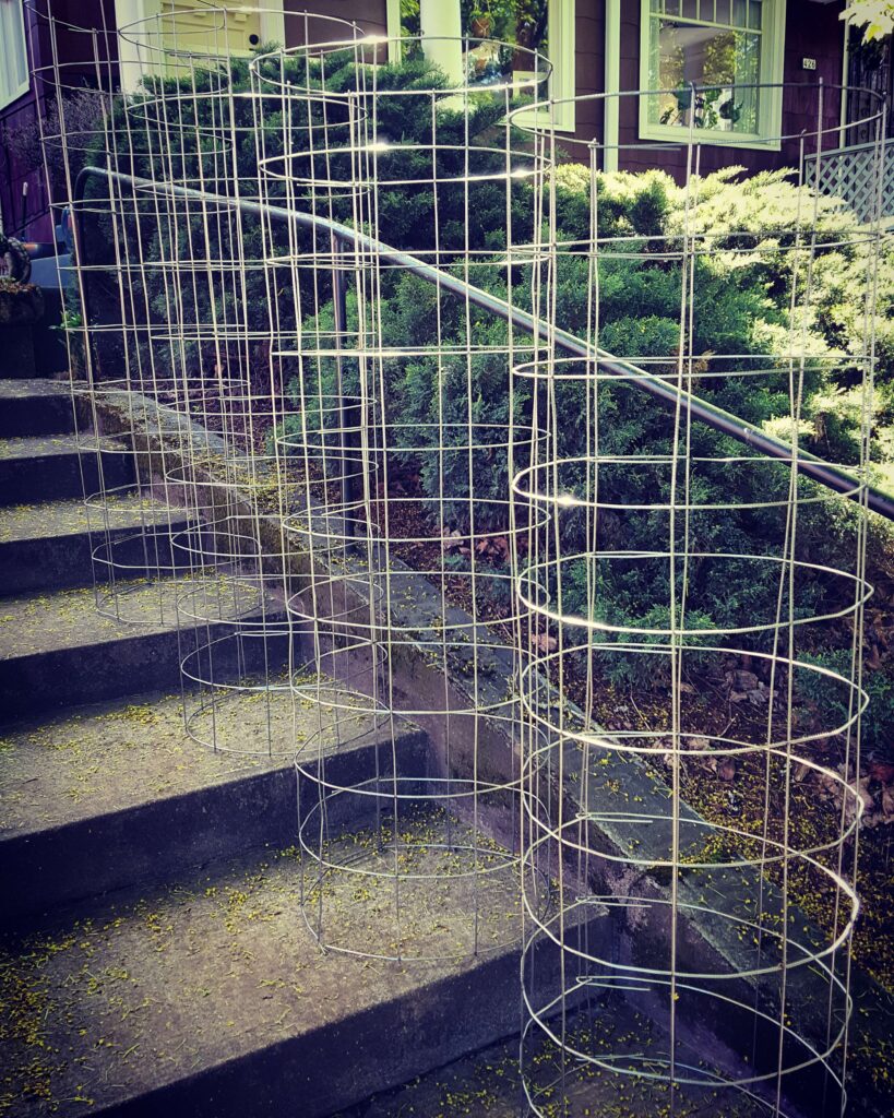 Heavy Duty Tomato Cages displayed on steps.